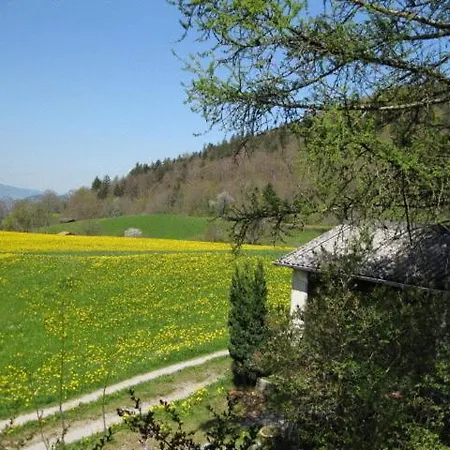 Baergsunne