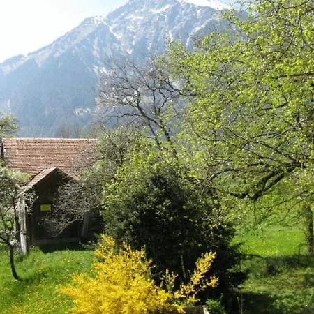 Baergsunne 3*